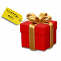Mystery Gift